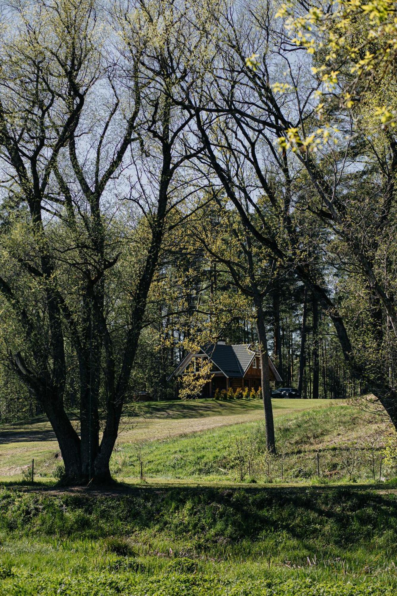 "Gaujmale" Sauna House In Nature Ilkene Exterior photo